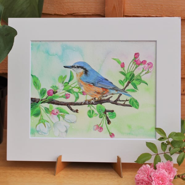 'Nuthatch In Blossom' Original Artwork - Bird Art