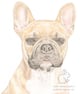 Vinnie the Staffie - Keyring - Image 2