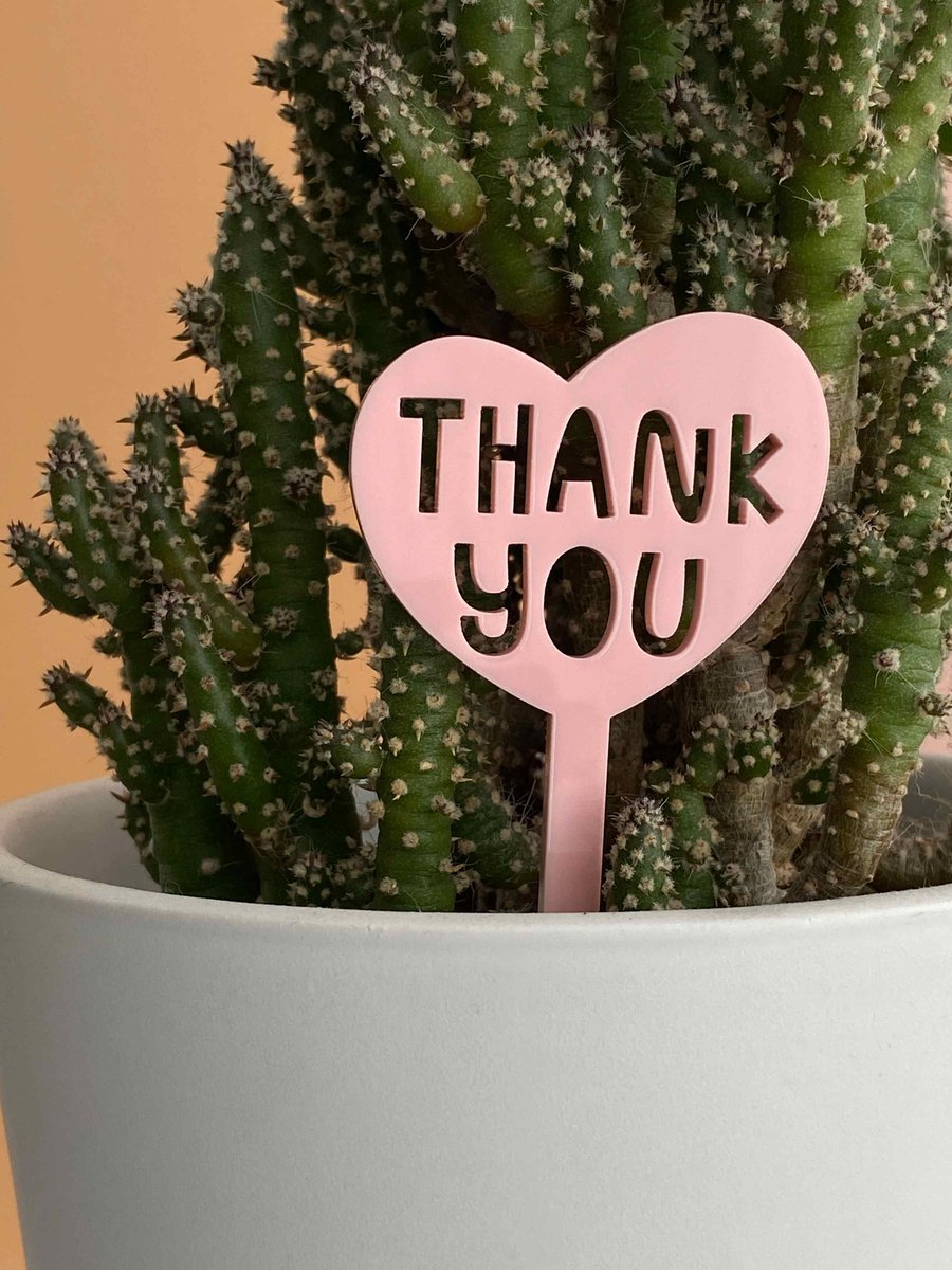 Plant marker thank you gift, plant lover gift for gardener, house plant decor