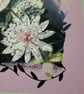 Astrantia Flower Notelets Pack Of 6 - Image 3