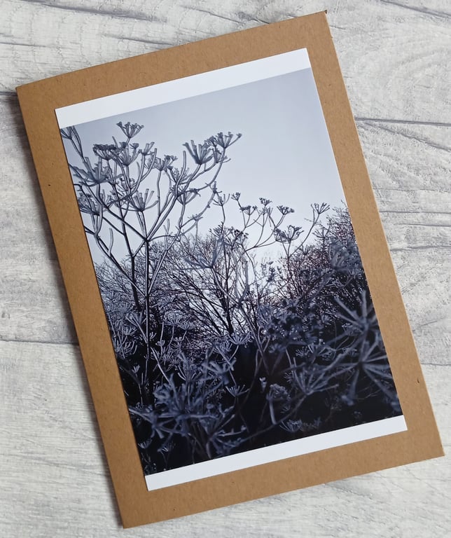 Winter Frost Photo Greetings Card (B), Christmas Card, Notecard