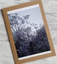 Winter Frost Photo Greetings Card (B), Christmas Card, Notecard - Image 1