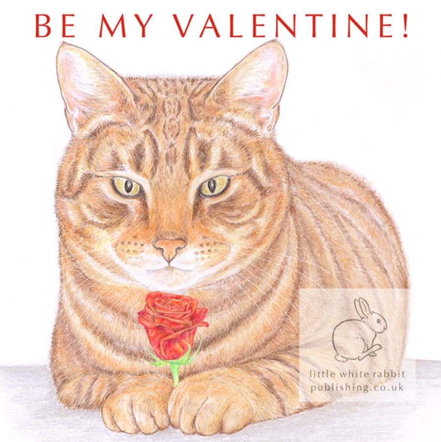 Monty the Cat - Valentine Card