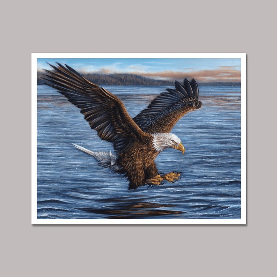 Fine art giclée print of a bald eagle