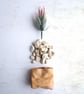 Leather planter (free artificial plant) - Image 2