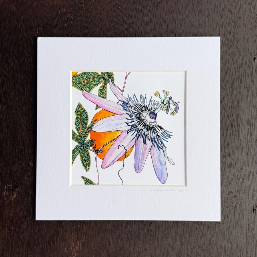'Passion Flower' 8" x 8" Mounted Print