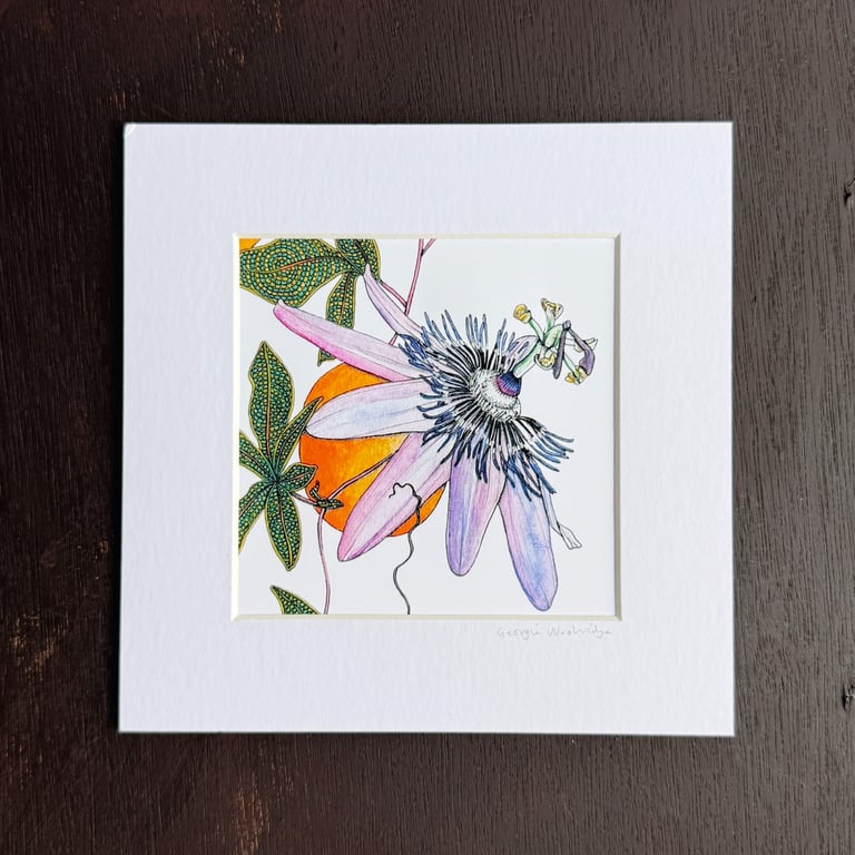 'Passion Flower' 8" x 8" Mounted Print
