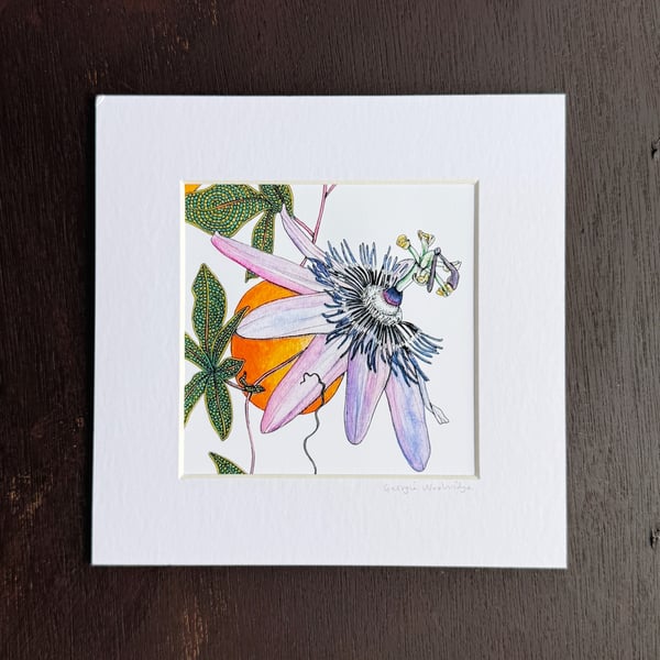 'Passion Flower' 8" x 8" Mounted Print