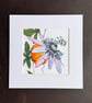 'Passion Flower' 8" x 8" Mounted Print