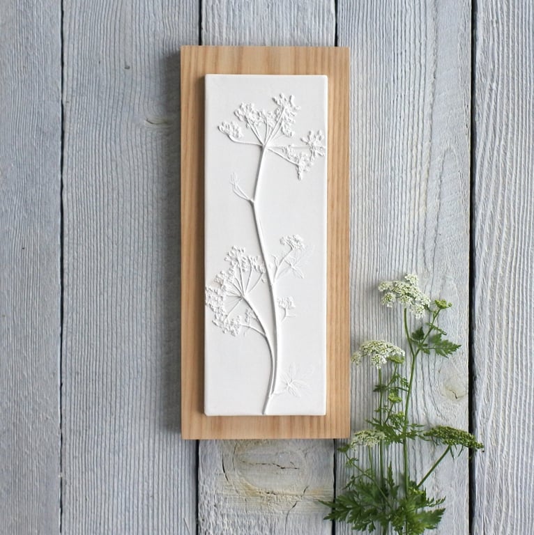 Cow Parsley No.2 Plaster Cast Wall Plaque, Limited Edition