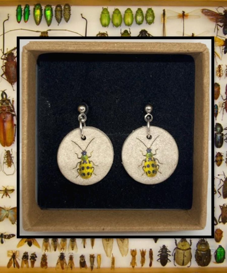Bug stud clay earrings