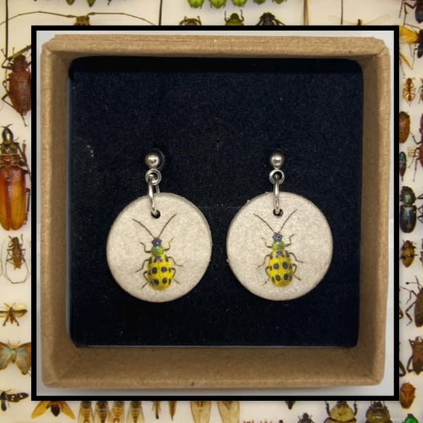 Bug stud clay earrings