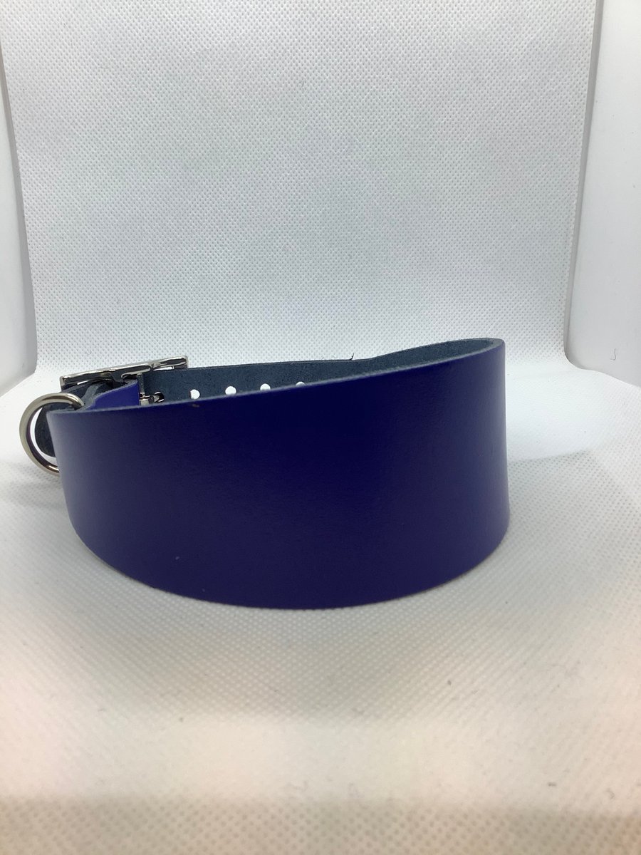 Royal Blue leather collar for greyhound or whippet