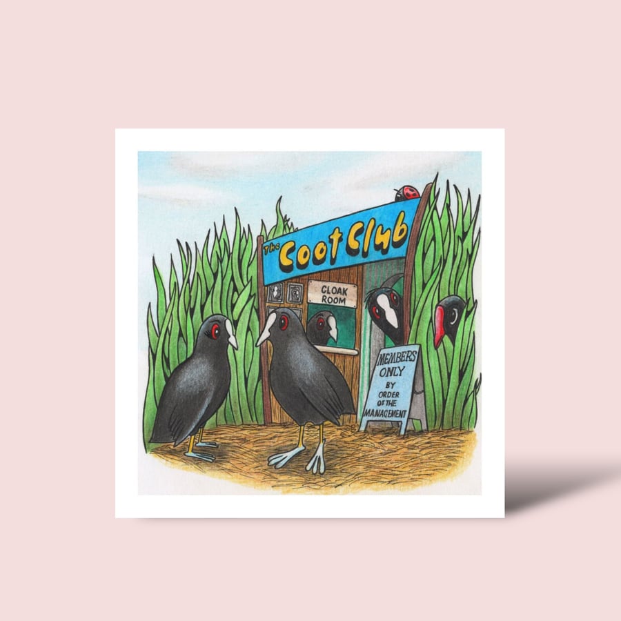 Funny Birds Greeting Card: Cute Hand Drawn Coots and Moorhen Illustration (222)