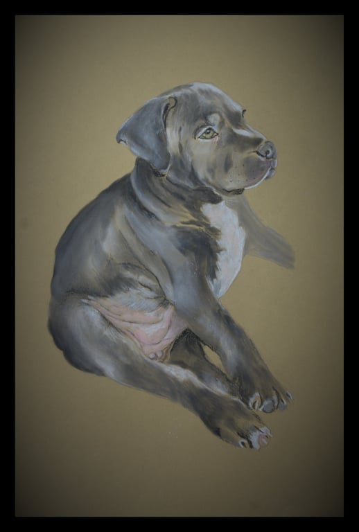 Cute Staffy puppy A4 poster 