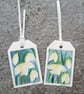 Snowdrops. Two Handpainted Gift Tags