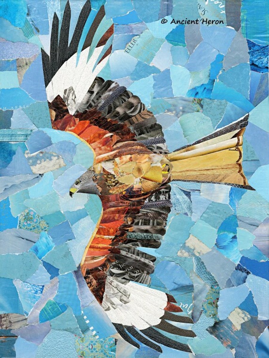 Collage figurative Red kite bird shamanic gift art giclee prints A4