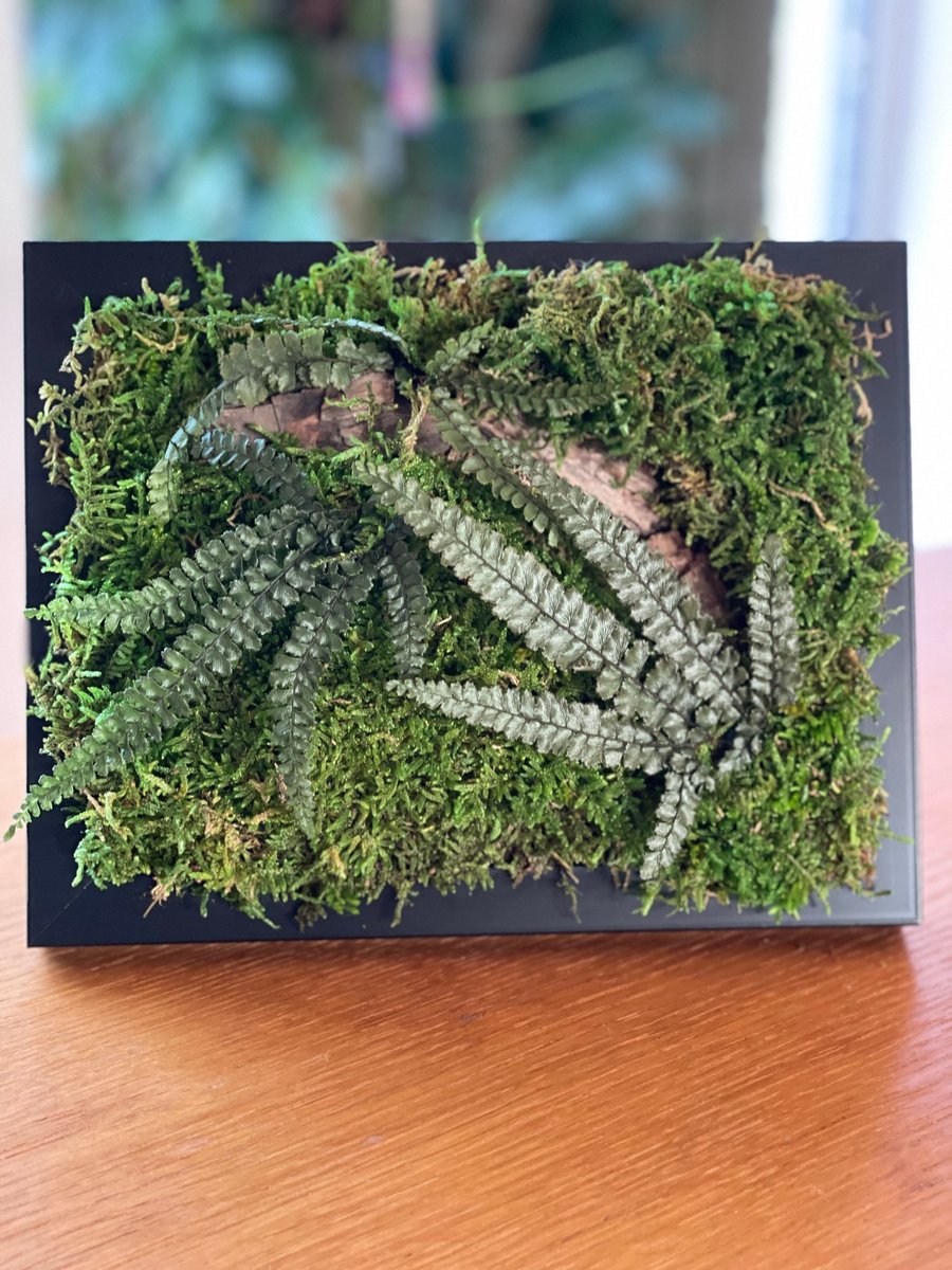 Image of Framed Forest Vignette 