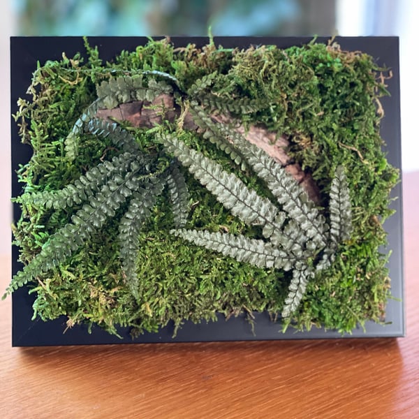 Framed Forest Vignette 