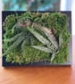 Framed Forest Vignette  - Image 1