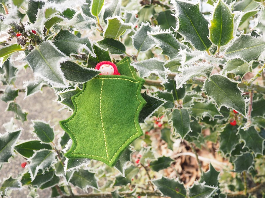 Holly leaf baby