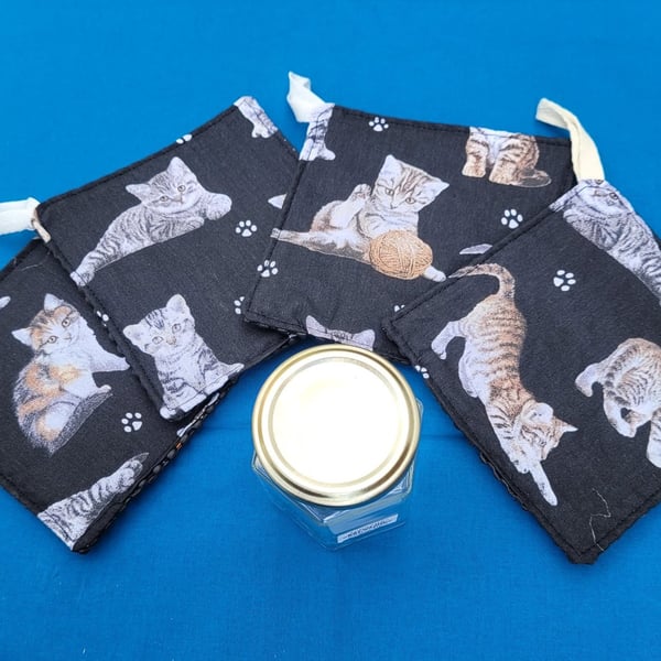 Jar Opener Tabby Kittens design