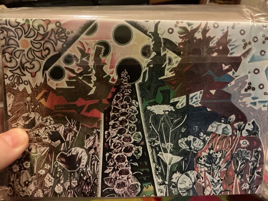 Pack of ten colour Greetings cards with envelopes A5 Size