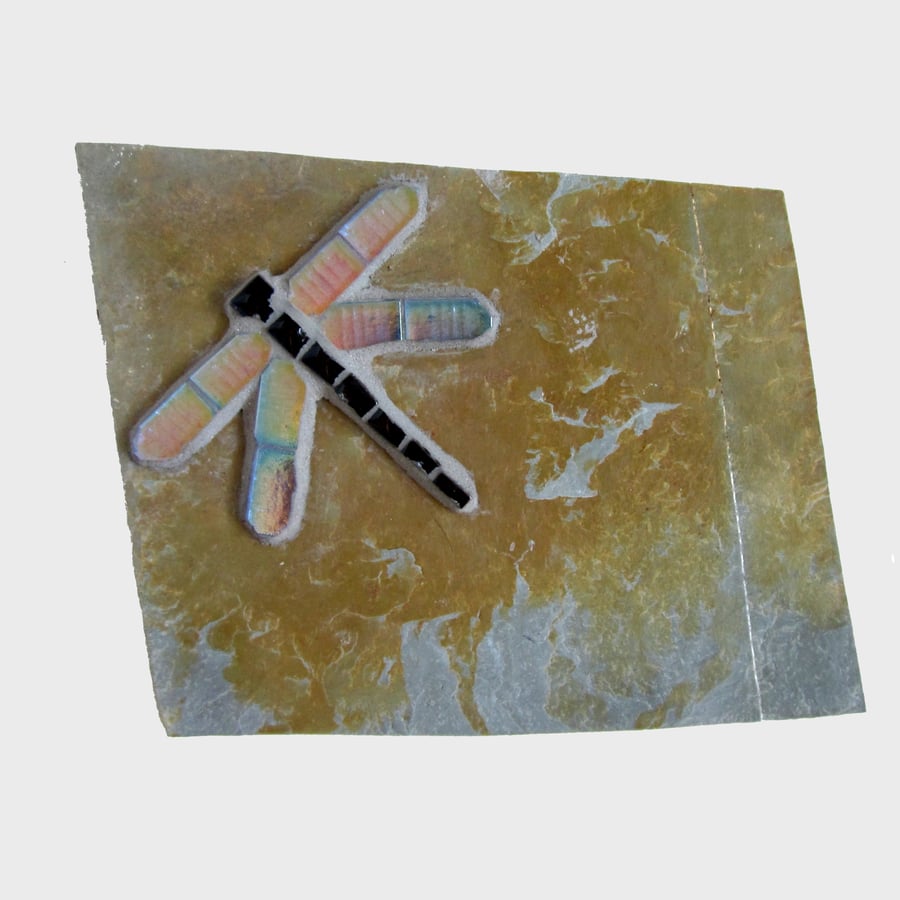 Mosaic Slate Dragonfly