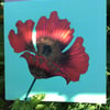 Limited edition Poppy Greeting card 
