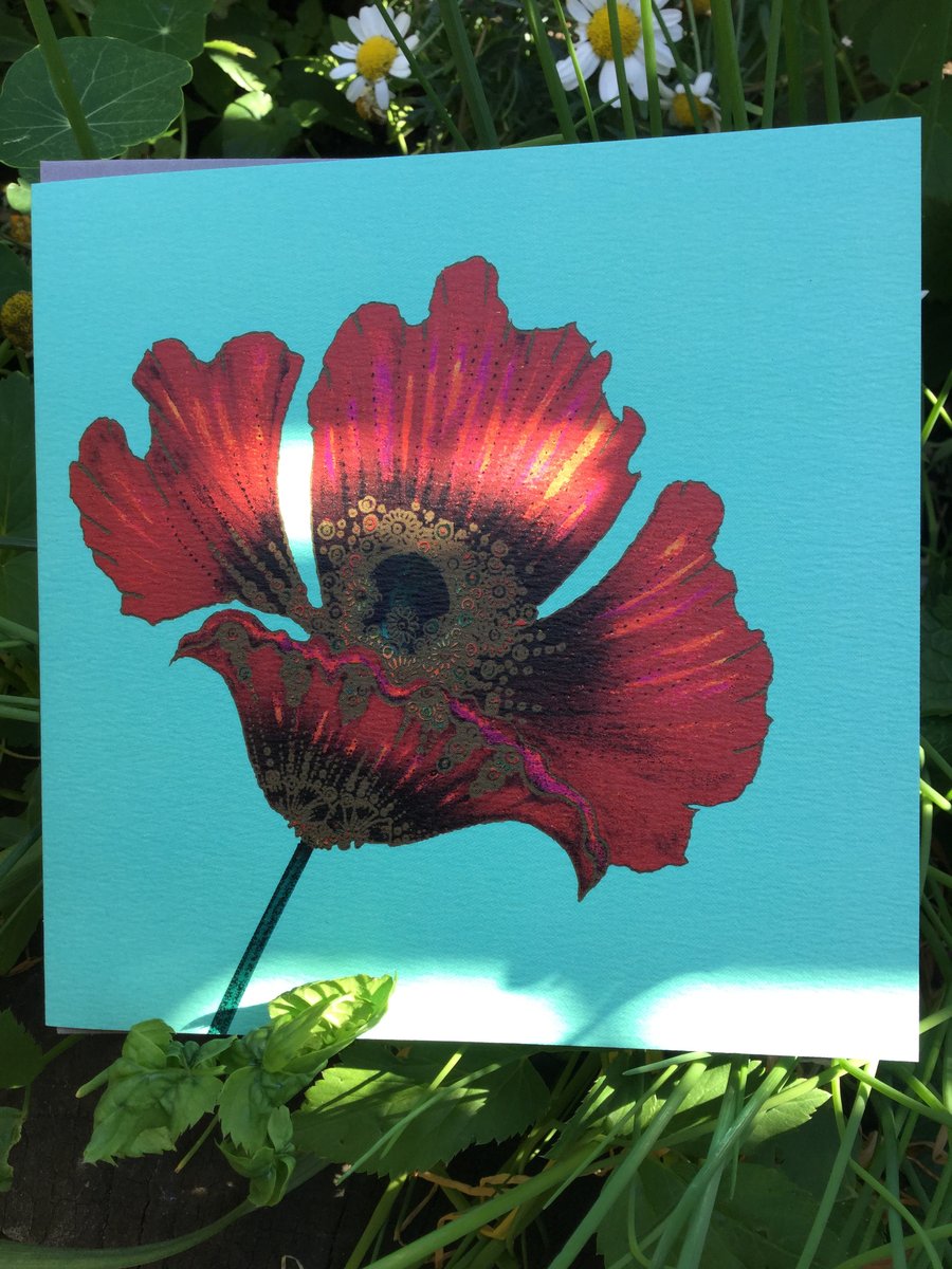 Limited edition Poppy Greeting card 