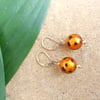 Gold fill Murano Glass Earrings