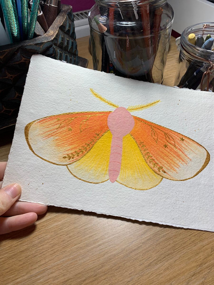 ORIGINAL Folk Art Moth Illustration Painting