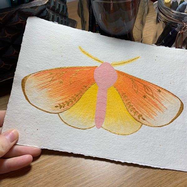 ORIGINAL Folk Art Moth Illustration Painting