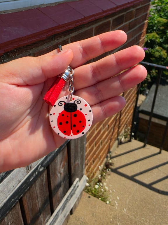 Hand painted ladybird wooden keyring 