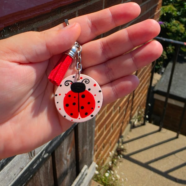 Hand painted ladybird wooden keyring 