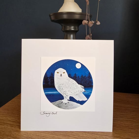 Snowy owl Card