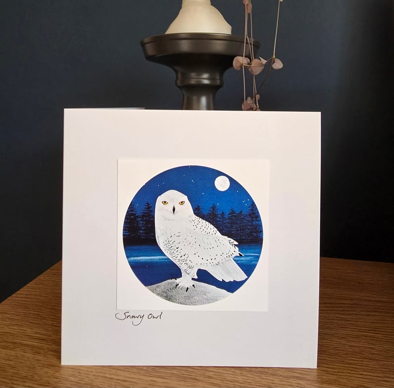 Snowy owl Card