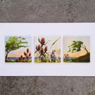 Shoreline Triptych. Painting Three  Landscapes Seedheads Trees