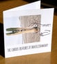 Croc; 13.5 cm square greetings card, blank inside - Image 2