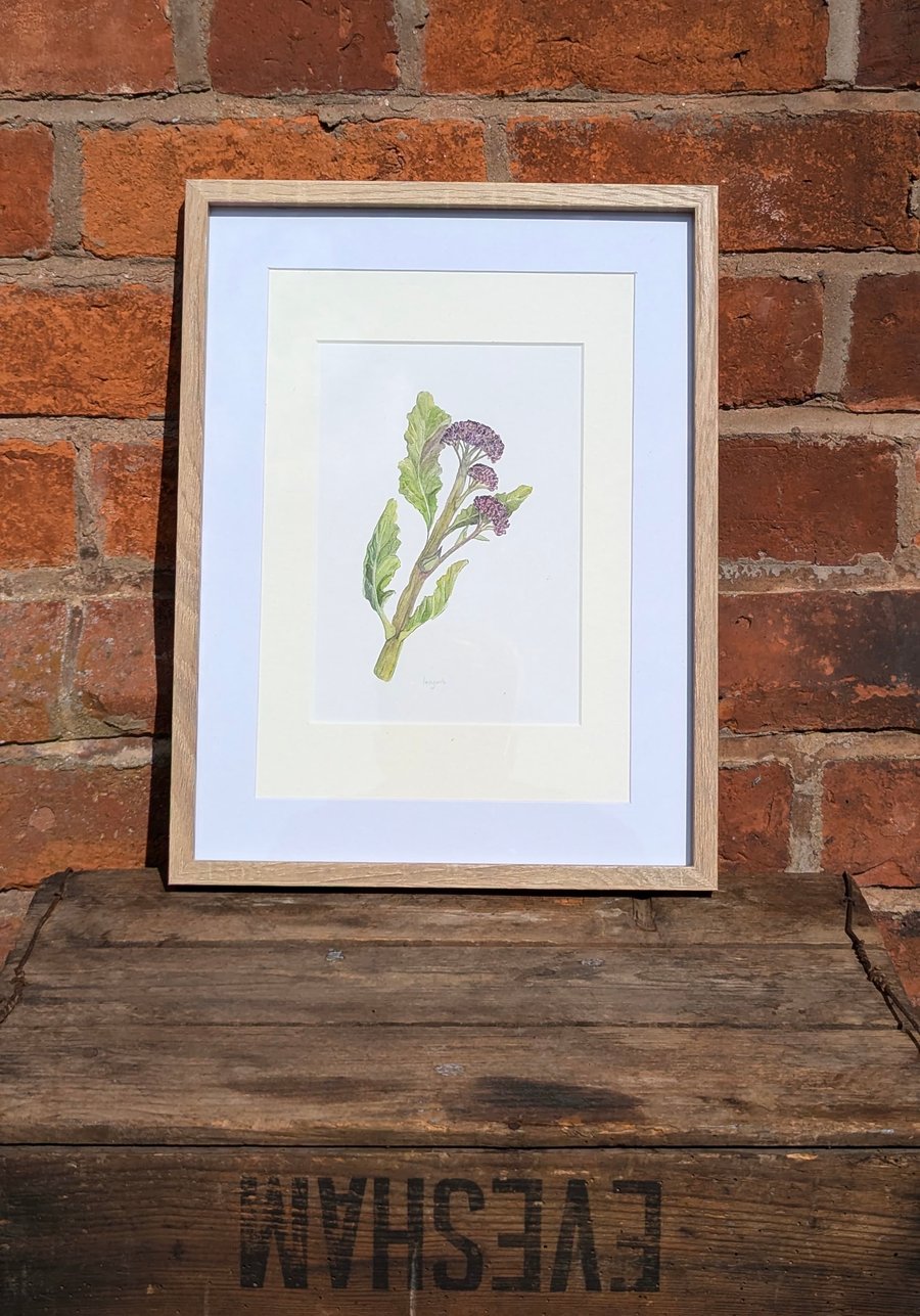Framed Broccoli print 