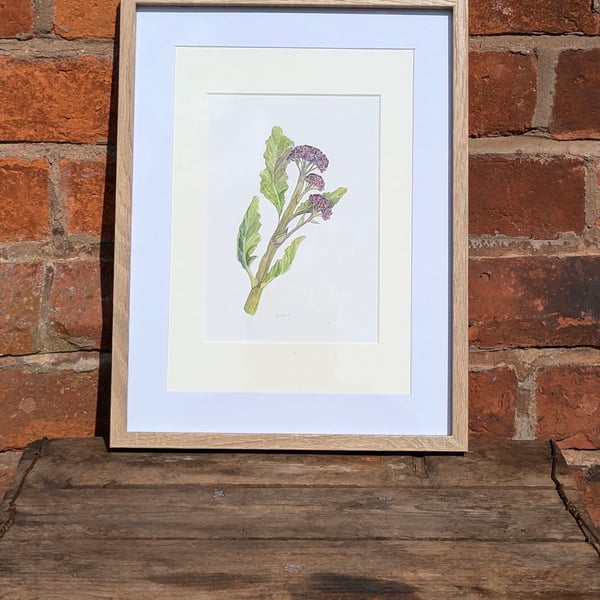 Framed Broccoli print 