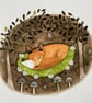 Fox Bundle - Image 2
