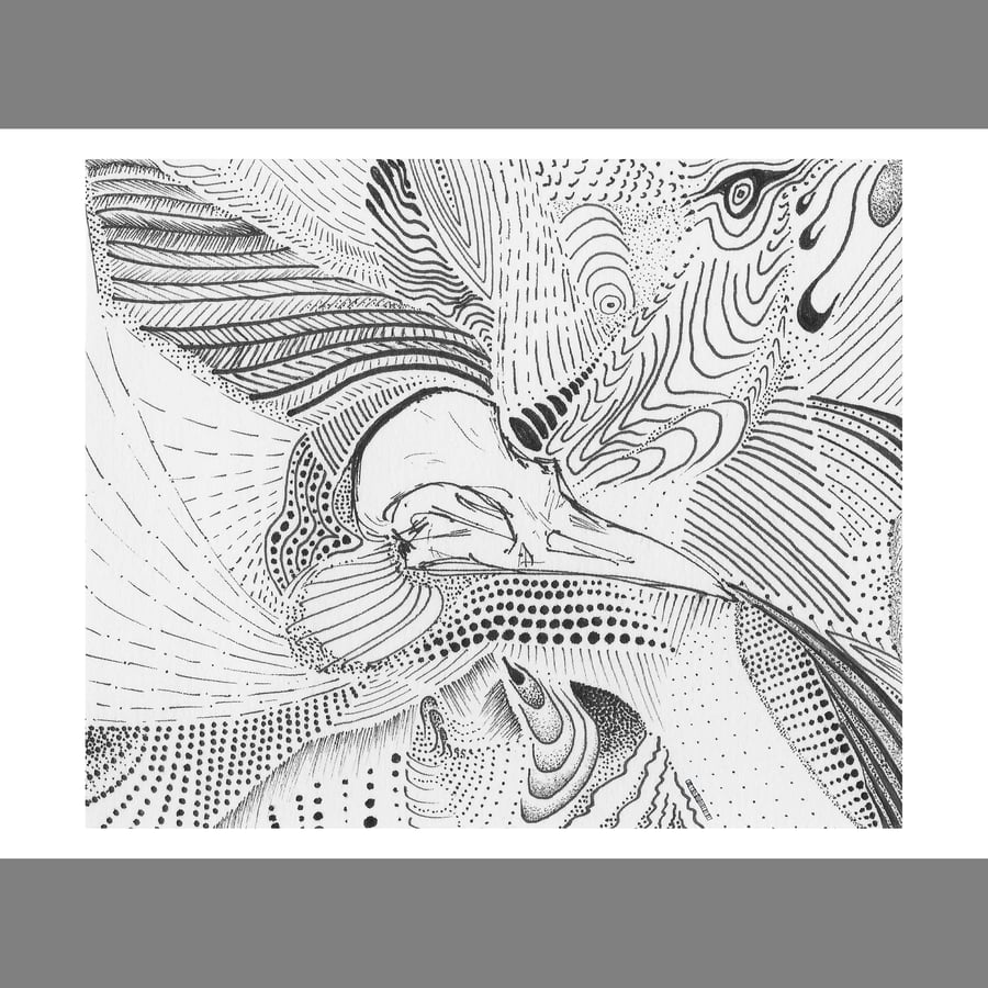 'Feather' Abstract Blackbird Skull Drawing A6 giclee print from original pen art