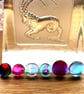 A card of six curious mixed colour fused glass cabachons