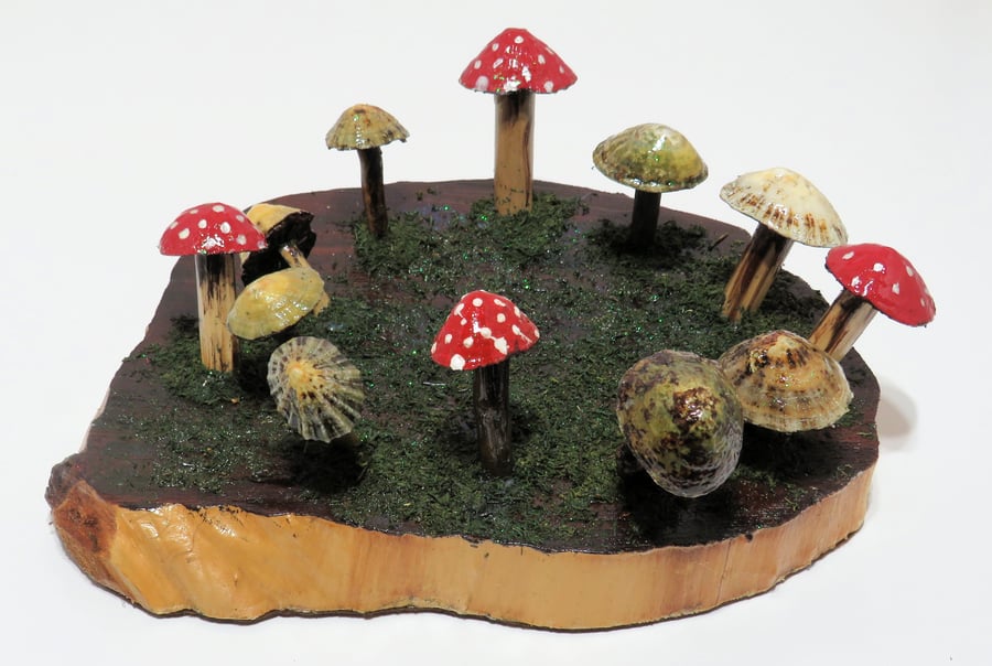 Unique woodland glittered limpet shell and driftwood fairy ring scene 