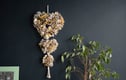 + wall hangings