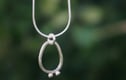 Seed pod jewellery