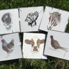 A mixed pack of greeting cards inspired by the  Countryside x 6