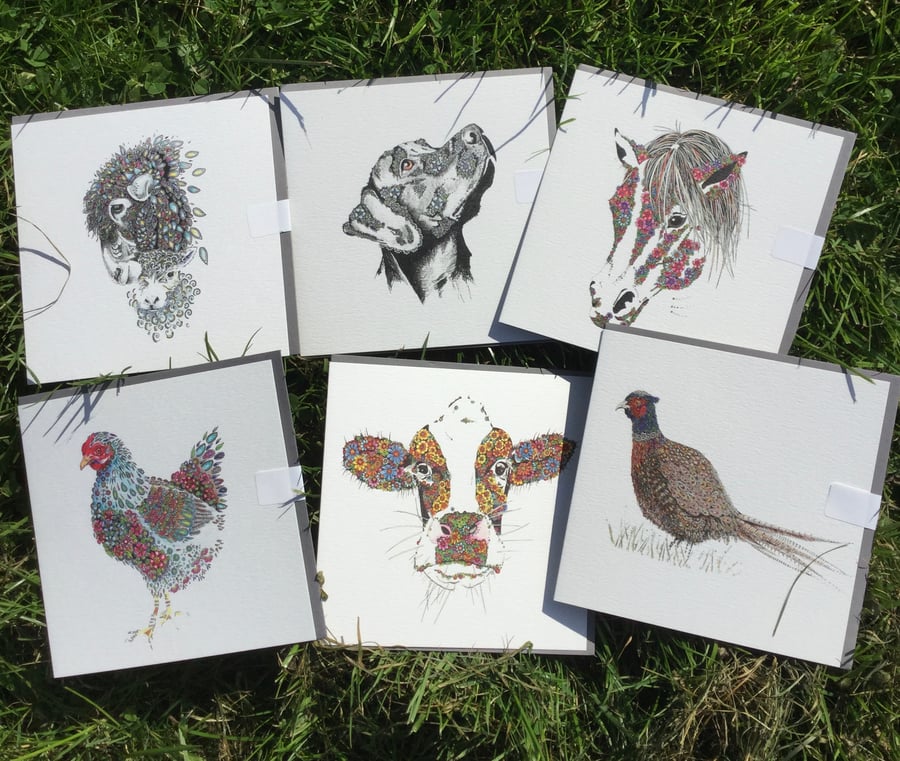 A mixed pack of greeting cards inspired by the  Countryside x 6