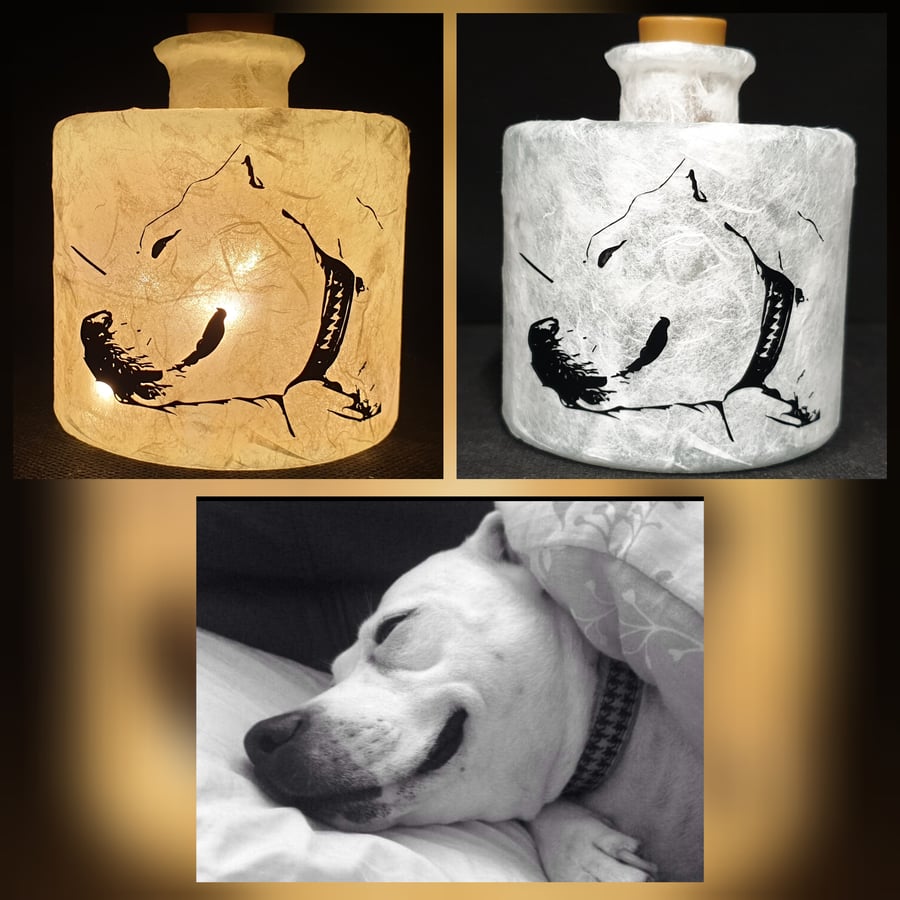 Pet portrait bottle lamp 